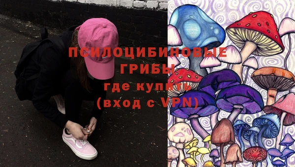 spice Балабаново