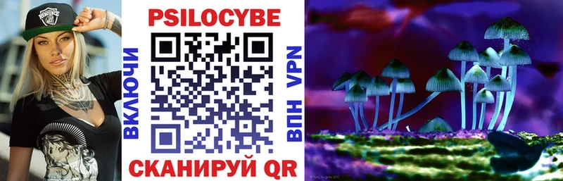 Галлюциногенные грибы MAGIC MUSHROOMS  мориарти Telegram  Суворов 